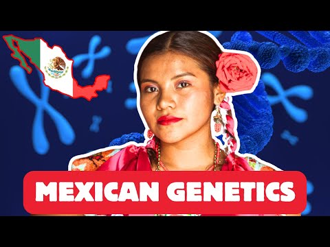Atemberaubende mexikanische Rassen- und DNA-Ergebnisse