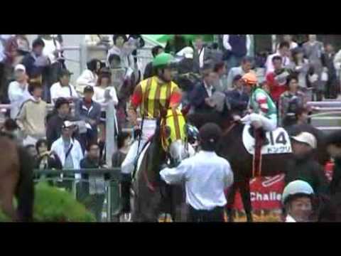 2009年5月16日の京都競馬ダイジェスト【4~7rと9・10・11r】