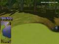 Golden Tee Great Shot on Sunny Wood!