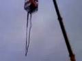 angela mcfarlane and craig mcgloin bungee jumping