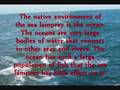 Invasive Species: Sea Lamprey