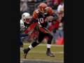 Cincinnati Bengals Video Slideshow 