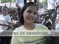 Reforestacion (Proyecto Cuencas)
