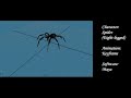 Walk cycles-A Daschowdhury