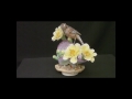 Click here to watch this video Cactus Wren.wmv