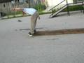 Darkslide