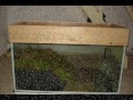 das sind tigersalamander/diescher (ambystoma tigrinum). querzahnmolche aus der familie der ambystomadiden.
leben haupts�chlich an land und haben eine vorliebe f�r�s graben.