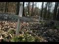 Black Cemetery