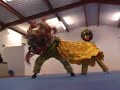 Rising Crane Lion Dance Rising Crane Lion Dance