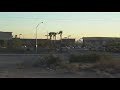 North Las Vegas