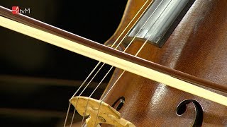 Kinsky Trio Prague zahrálo pro Mohelnici