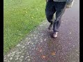 11.11.07
