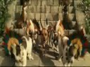  - MovieZen Video
