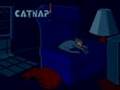 Crazy World CatNap