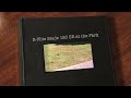 E-Flite Blade 120 SR Micro Helicopter (BNF) at the Park
