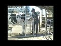 Wrangler: Raise Back Leg