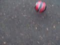 footy