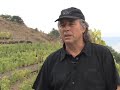Entrevista-con-Joan-