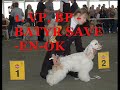 cacib kiev ukraine 28 04 2007 puppy junior class jbob jbos
