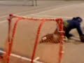 David Hornell Ball Hockey League Part 2