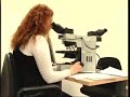 Anatomia patologica Anatomia patologica