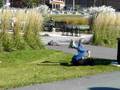 rollerblade trick