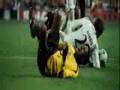 **malt**__***gool!***