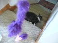 Chloe vs Flamingo