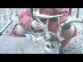 2007 Saskatchewan Muzzleloader Whitetail