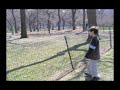 One Spring Day One Spring Day