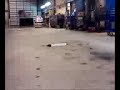 sportwerks chaos jump in my face! sportwerks chaos jump in my face!