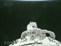 Shenzhou 7 re-entry