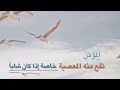 #دعاء من 4 كلمات #يغفرلك #الله جميع ذنوبك #المغامسي -Views : 1