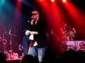 COLLiEbuddz