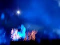 The Killers - Sam's Town (Live at ACL 2007)