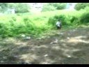 Domingo el volador