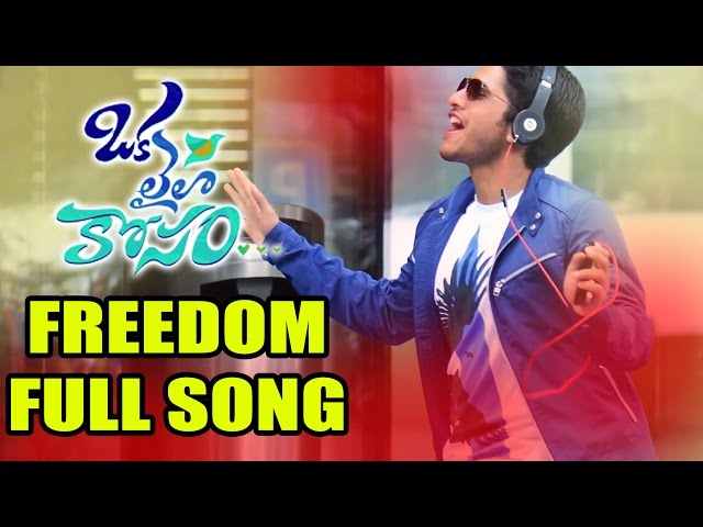 oka laila kosam movie video song