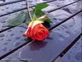 akel baz photo wite attan song
