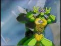 Turtles Fight with Love!