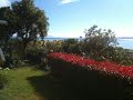 This is the view you can wake up to...