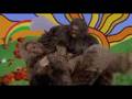  - MovieZen Video