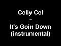 Celly Cel - Its Goin Down (instrumental)