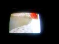 shocking-asia-the-ganges.html