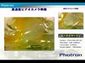 (株)フォトロンの高速度カメラ・画像処理システム(ライト電業オリジナル展示会2007より)