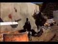 Halo-3-Combat-Part-I