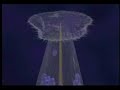 How mercury causes brain neuron degeneration