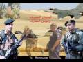 EDF , Egyptian defense Forces الجيش المصري