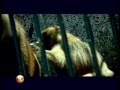 zoo de vigo