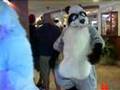 American Furry pt. 1 of 2