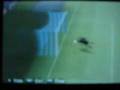 pes 09 psp gol